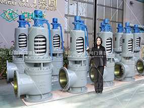 良固閥門為華能熱電項(xiàng)目交付一批高溫高壓安全閥Delivered a Batch of Safety Valves for China Huaneng Thermal Power Project