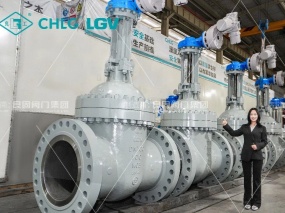 良固高壓電動(dòng)閘閥出口非洲礦業(yè)工程 | LIANGGU High-Pressure Electric Gate Valves Exported to African Mining Projects